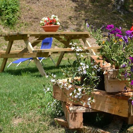 Agriturismo Dalla Natura La Salute Giustino Buitenkant foto