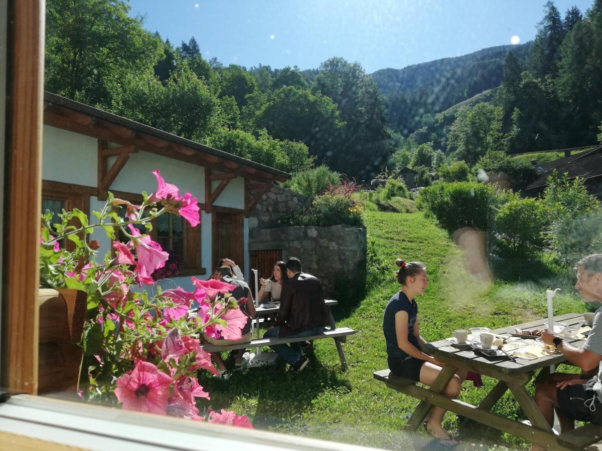 Agriturismo Dalla Natura La Salute Giustino Buitenkant foto