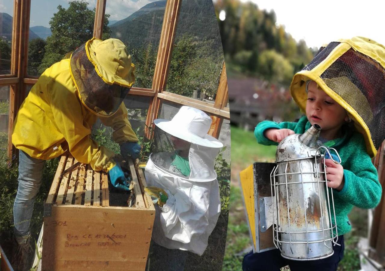 Agriturismo Dalla Natura La Salute Giustino Buitenkant foto