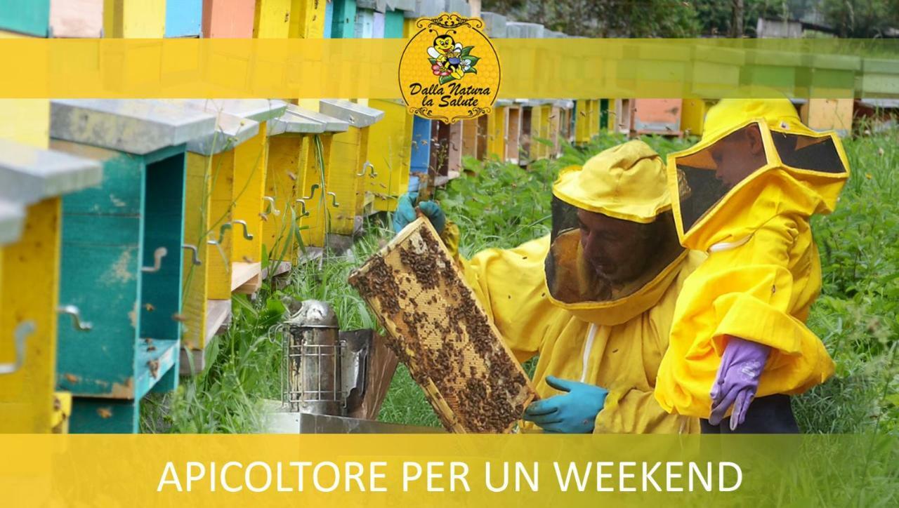 Agriturismo Dalla Natura La Salute Giustino Buitenkant foto